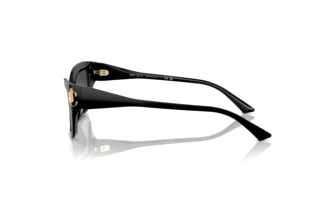 Vue latérale Jimmy Choo JC5011U (500087)