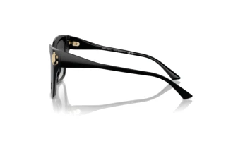 Vue latérale Jimmy Choo JC5012 (50008G)