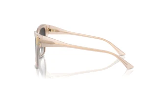 Vue latérale Jimmy Choo JC5012 (50258G)
