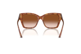 Vue arrière Jimmy Choo JC5012 (511413)