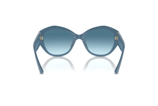 Vue arrière Jimmy Choo JC5013U (502019)