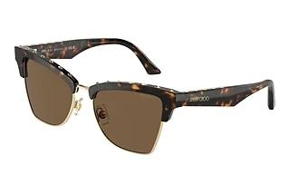 Jimmy Choo JC5014 500273 Dark BrownHavana/Pale Gold