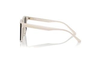 Vue latérale Jimmy Choo JC5016D (500887)