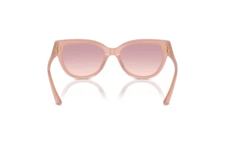 Vue arrière Jimmy Choo JC5018U (502768)