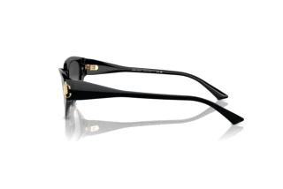 Vue latérale Jimmy Choo JC5019 (50008G)