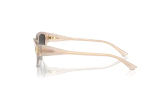 Vue latérale Jimmy Choo JC5019 (50258G)