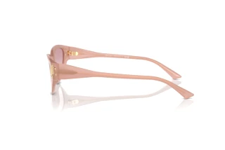 Vue latérale Jimmy Choo JC5019 (502768)