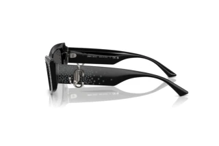 Vue latérale Jimmy Choo JC5020B (501787)