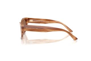 Vue latérale Jimmy Choo JC5022B (505573)