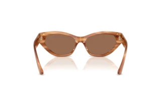 Vue arrière Jimmy Choo JC5022B (505573)