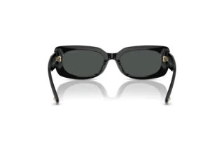 Vue arrière Jimmy Choo JC5029U (500087)