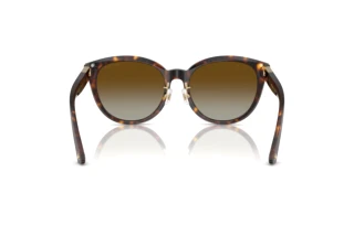 Vue arrière Jimmy Choo JC5032D (5002T5)