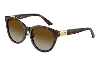 Jimmy Choo JC5032D 5002T5