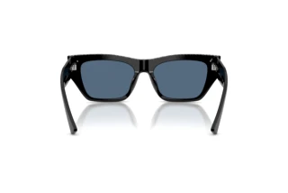 Vue arrière Jimmy Choo JC5035B (500080)