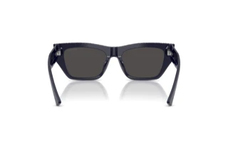 Vue arrière Jimmy Choo JC5035B (501687)