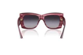 Vue arrière Jimmy Choo JC5036B (50648G)