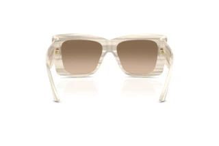 Vue arrière Jimmy Choo JC5036B (50656I)