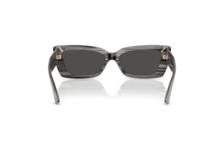 Vue arrière Jimmy Choo JC5037BU (506387)