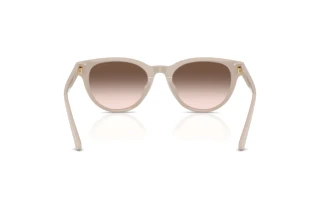 Vue arrière Jimmy Choo JC5043D (50333B)