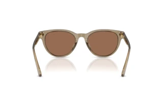 Vue arrière Jimmy Choo JC5043D (505173)