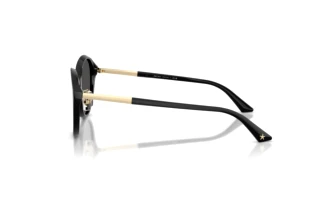 Vue latérale Jimmy Choo JC5044D (500087)