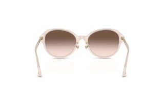 Vue arrière Jimmy Choo JC5044D (50253B)