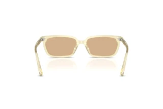 Vue arrière Jimmy Choo JC5050U (5083/8)