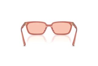 Vue arrière Jimmy Choo JC5050U (508484)