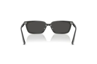 Vue arrière Jimmy Choo JC5050U (512287)