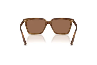 Vue arrière Jimmy Choo JC5051 (508573)