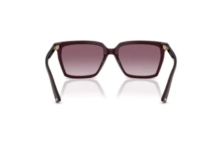 Vue arrière Jimmy Choo JC5051 (50866X)