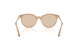 Vue arrière Jimmy Choo JC5056JD (507693)