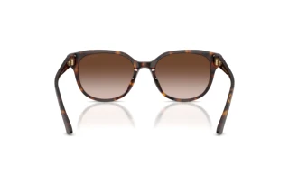 Vue arrière Jimmy Choo JC5057D (500213)