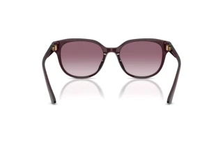 Vue arrière Jimmy Choo JC5057D (50866X)