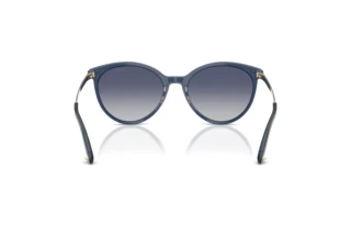 Vue arrière Jimmy Choo JC5060 (50354L)