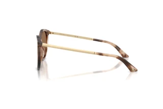 Vue latérale Jimmy Choo JC5060 (509773)