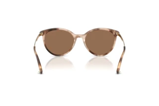 Vue arrière Jimmy Choo JC5060 (509773)