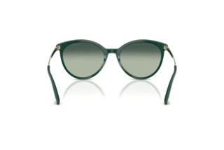 Vue arrière Jimmy Choo JC5060 (510019)