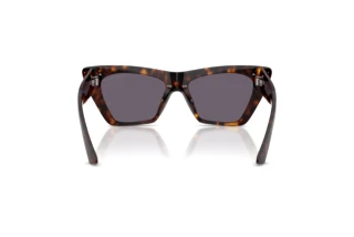 Vue arrière Jimmy Choo JC5062U (50021A)