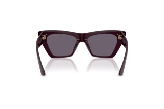 Vue arrière Jimmy Choo JC5062U (50751A)