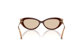 Vue arrière Jimmy Choo JC5065U (510593)