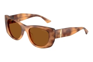 Vue de face Jimmy Choo JC5066U (509673)