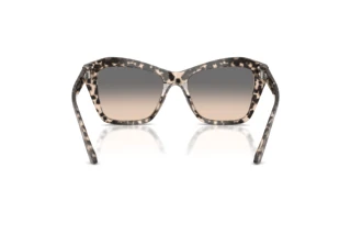 Vue arrière Jimmy Choo JC5076 (5115G9)