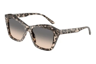 Vue de face Jimmy Choo JC5076 (5115G9)