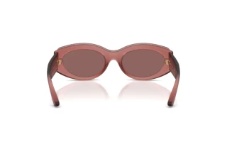 Vue arrière Jimmy Choo JC6002U (50946G)