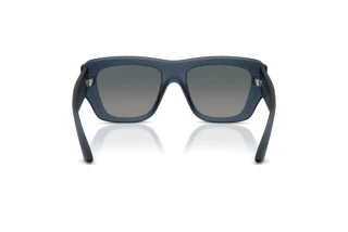 Vue arrière Jimmy Choo JC6003U (50906I)