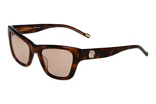 Joop 87258 2021 Braun uniBraun