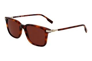 Lacoste L6035S 214 BROWN HAVANA