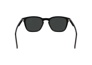 Vue arrière Lacoste L6040S (001)