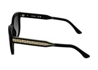 Vue latérale Lacoste L6070S (001)